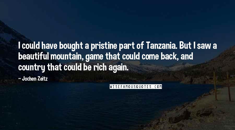 Jochen Zeitz Quotes: I could have bought a pristine part of Tanzania. But I saw a beautiful mountain, game that could come back, and country that could be rich again.