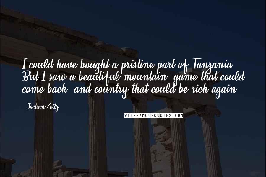 Jochen Zeitz Quotes: I could have bought a pristine part of Tanzania. But I saw a beautiful mountain, game that could come back, and country that could be rich again.