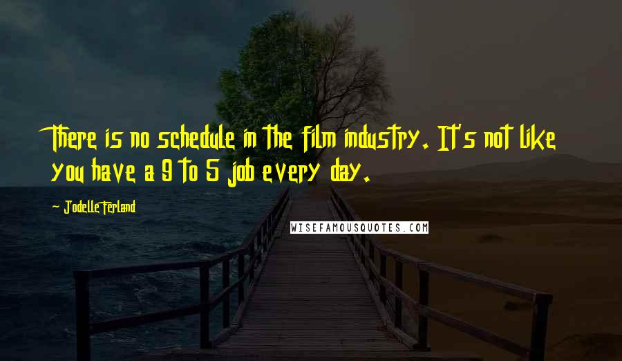 Jodelle Ferland Quotes: There is no schedule in the film industry. It's not like you have a 9 to 5 job every day.
