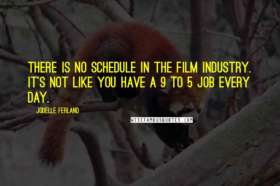 Jodelle Ferland Quotes: There is no schedule in the film industry. It's not like you have a 9 to 5 job every day.