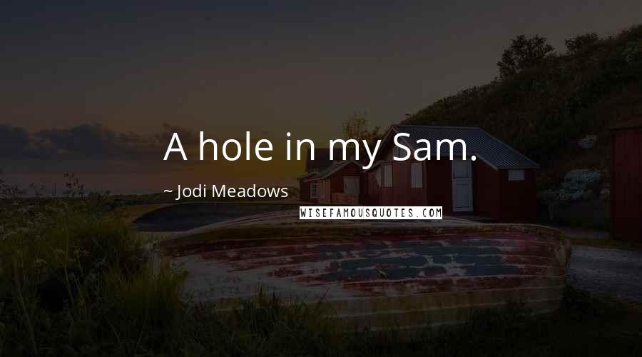 Jodi Meadows Quotes: A hole in my Sam.