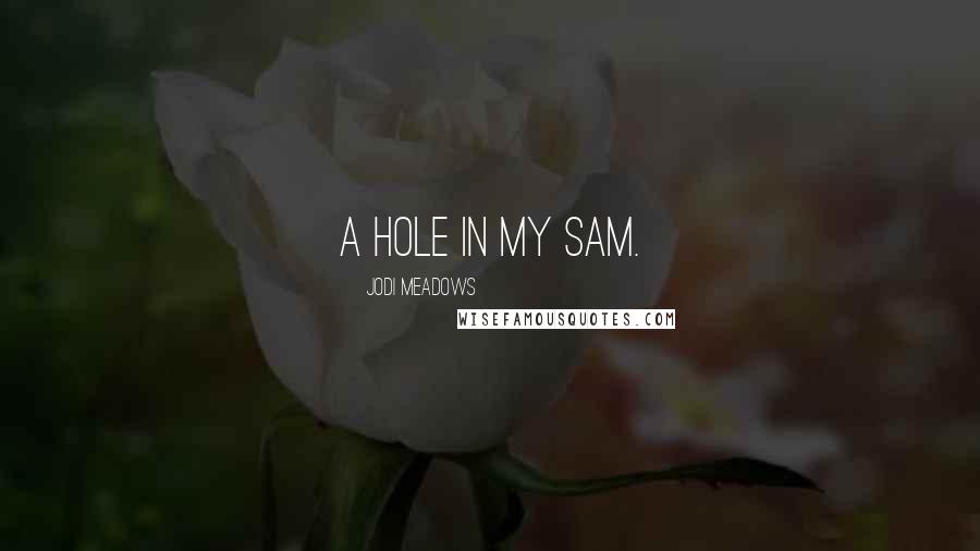 Jodi Meadows Quotes: A hole in my Sam.