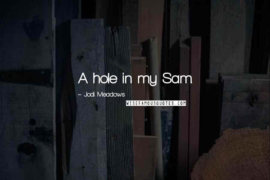 Jodi Meadows Quotes: A hole in my Sam.