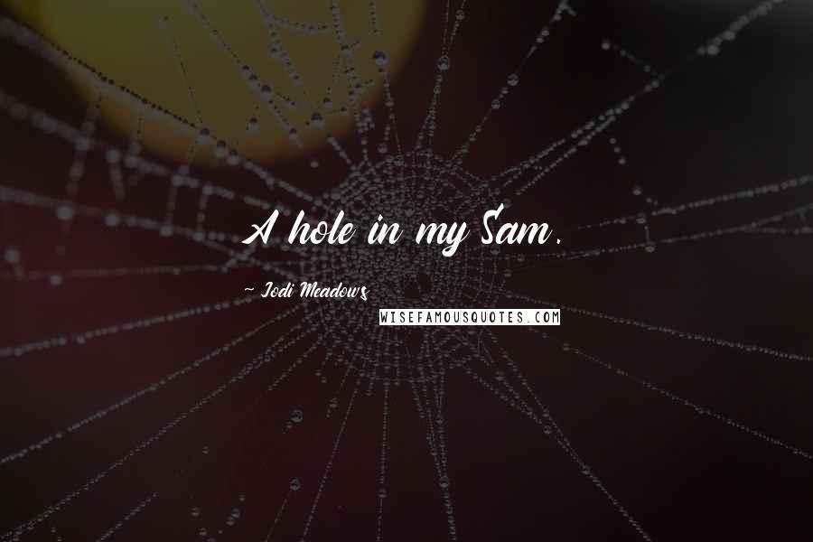 Jodi Meadows Quotes: A hole in my Sam.