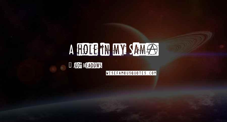 Jodi Meadows Quotes: A hole in my Sam.