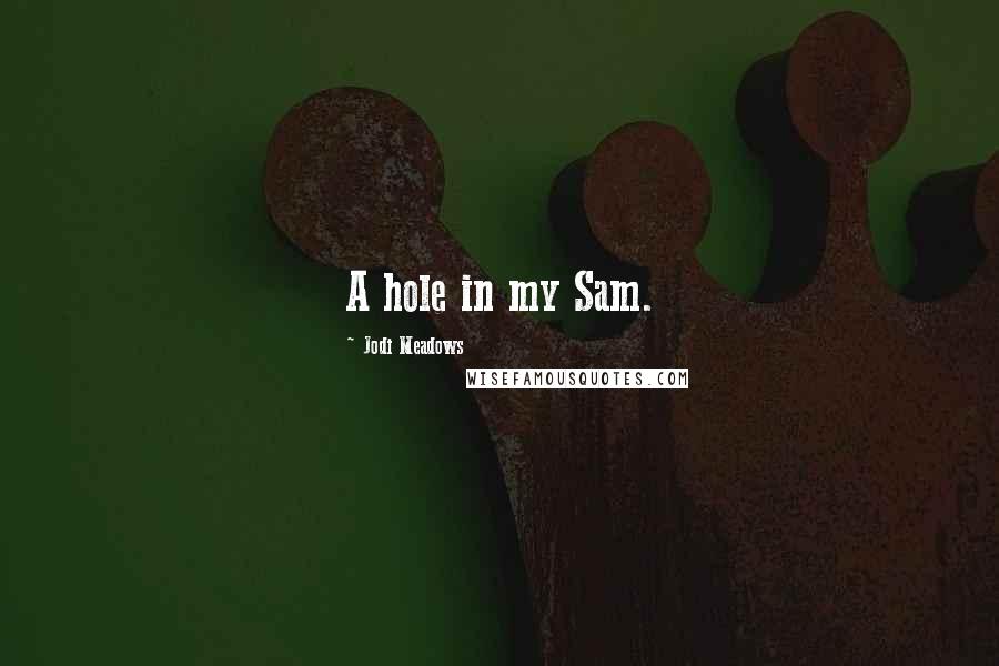 Jodi Meadows Quotes: A hole in my Sam.