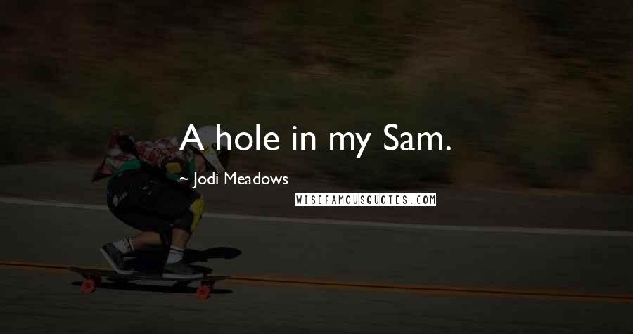 Jodi Meadows Quotes: A hole in my Sam.