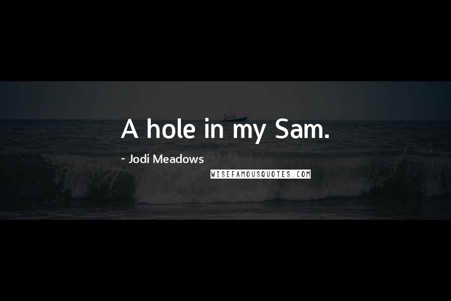 Jodi Meadows Quotes: A hole in my Sam.