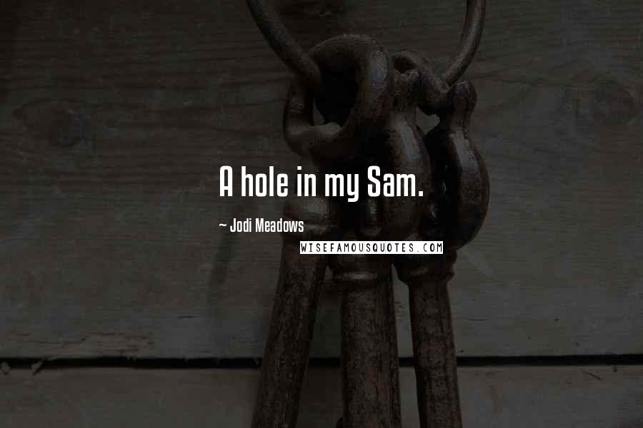 Jodi Meadows Quotes: A hole in my Sam.