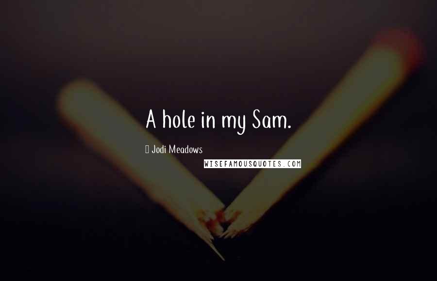 Jodi Meadows Quotes: A hole in my Sam.