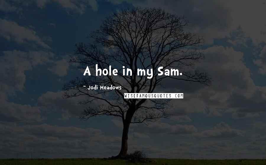 Jodi Meadows Quotes: A hole in my Sam.