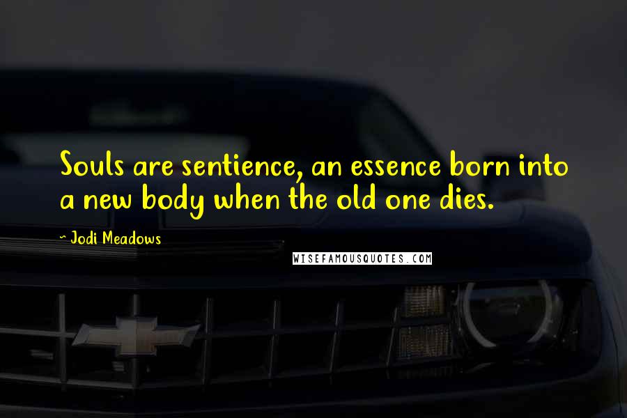 Jodi Meadows Quotes: Souls are sentience, an essence born into a new body when the old one dies.