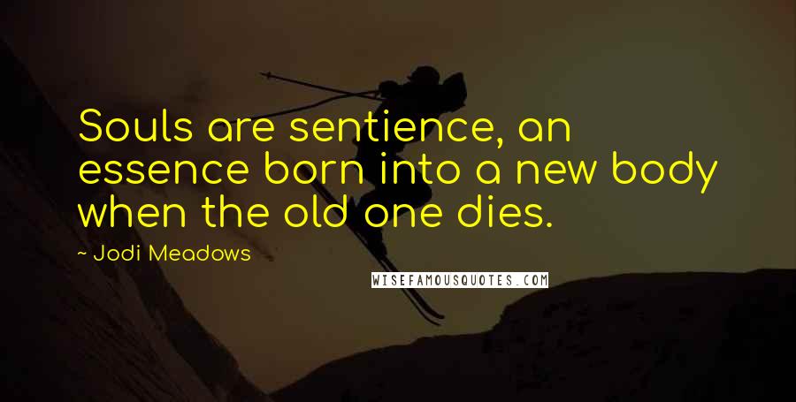 Jodi Meadows Quotes: Souls are sentience, an essence born into a new body when the old one dies.