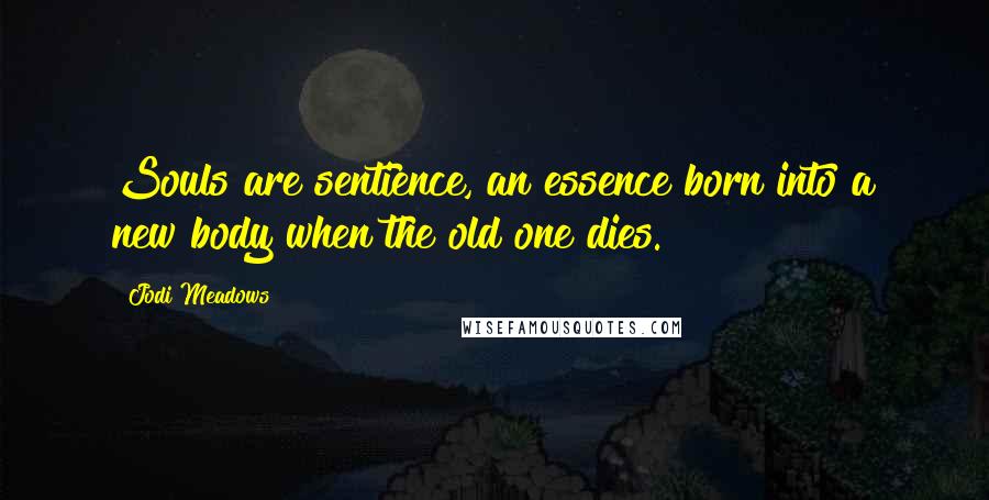 Jodi Meadows Quotes: Souls are sentience, an essence born into a new body when the old one dies.