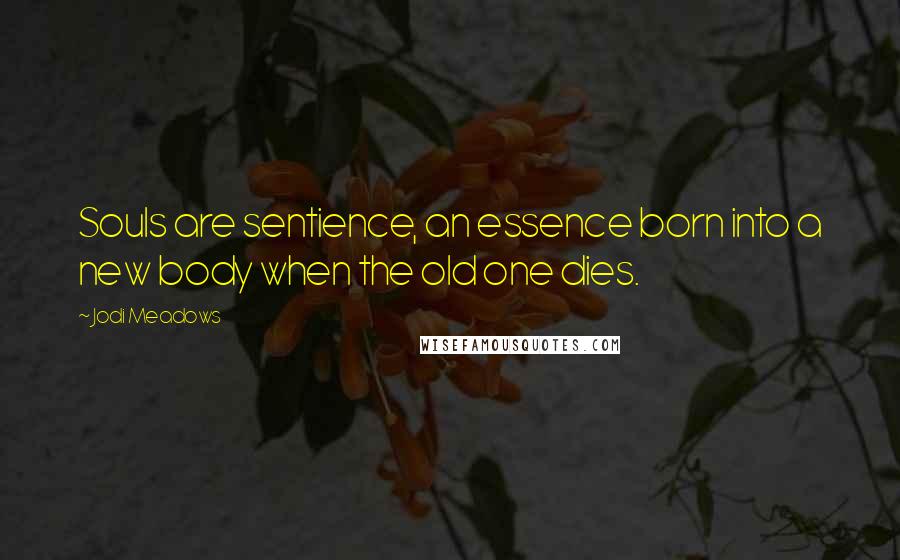 Jodi Meadows Quotes: Souls are sentience, an essence born into a new body when the old one dies.