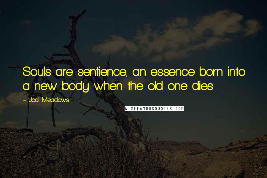 Jodi Meadows Quotes: Souls are sentience, an essence born into a new body when the old one dies.