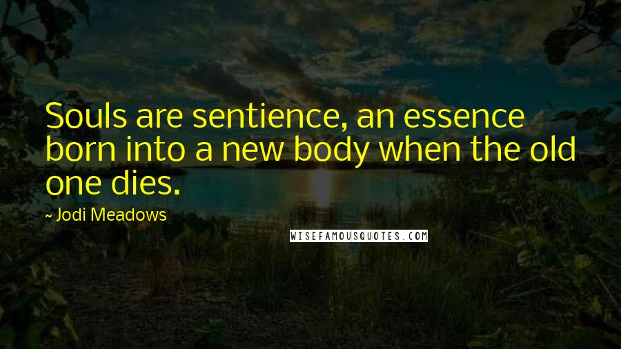 Jodi Meadows Quotes: Souls are sentience, an essence born into a new body when the old one dies.