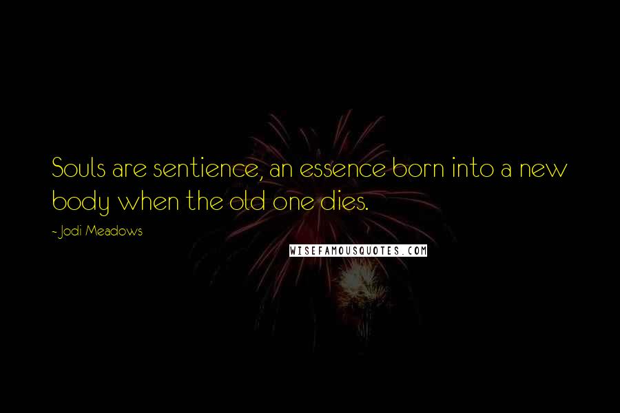 Jodi Meadows Quotes: Souls are sentience, an essence born into a new body when the old one dies.