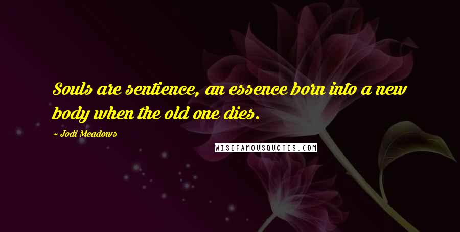 Jodi Meadows Quotes: Souls are sentience, an essence born into a new body when the old one dies.