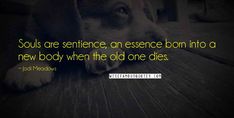 Jodi Meadows Quotes: Souls are sentience, an essence born into a new body when the old one dies.