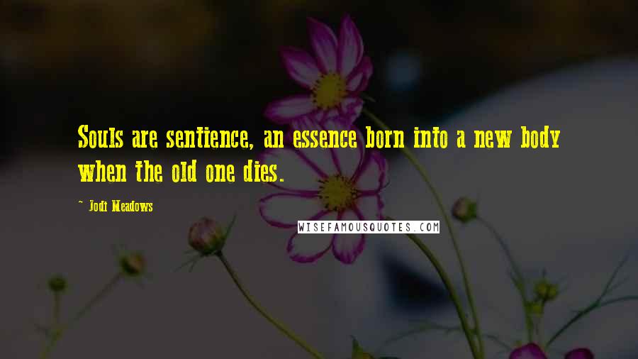 Jodi Meadows Quotes: Souls are sentience, an essence born into a new body when the old one dies.