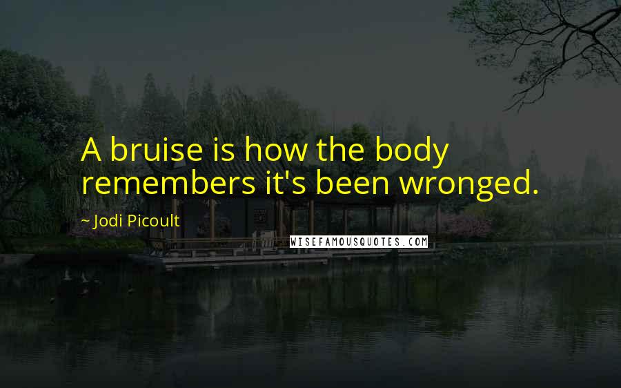 Jodi Picoult Quotes: A bruise is how the body remembers it's been wronged.