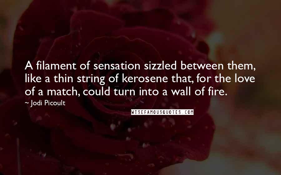 Jodi Picoult Quotes: A filament of sensation sizzled between them, like a thin string of kerosene that, for the love of a match, could turn into a wall of fire.