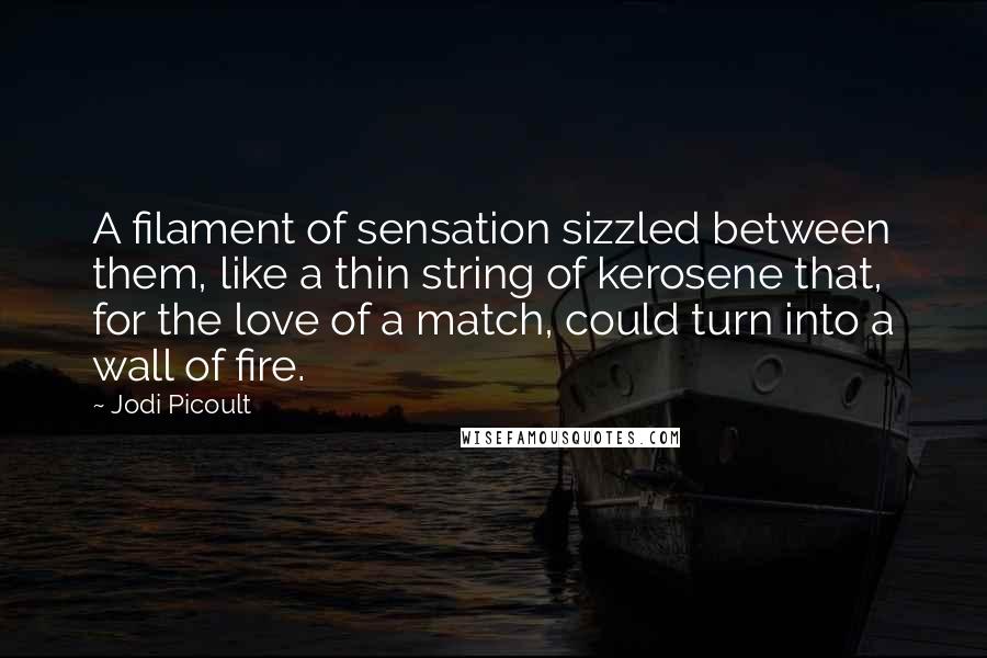 Jodi Picoult Quotes: A filament of sensation sizzled between them, like a thin string of kerosene that, for the love of a match, could turn into a wall of fire.