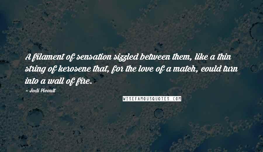 Jodi Picoult Quotes: A filament of sensation sizzled between them, like a thin string of kerosene that, for the love of a match, could turn into a wall of fire.