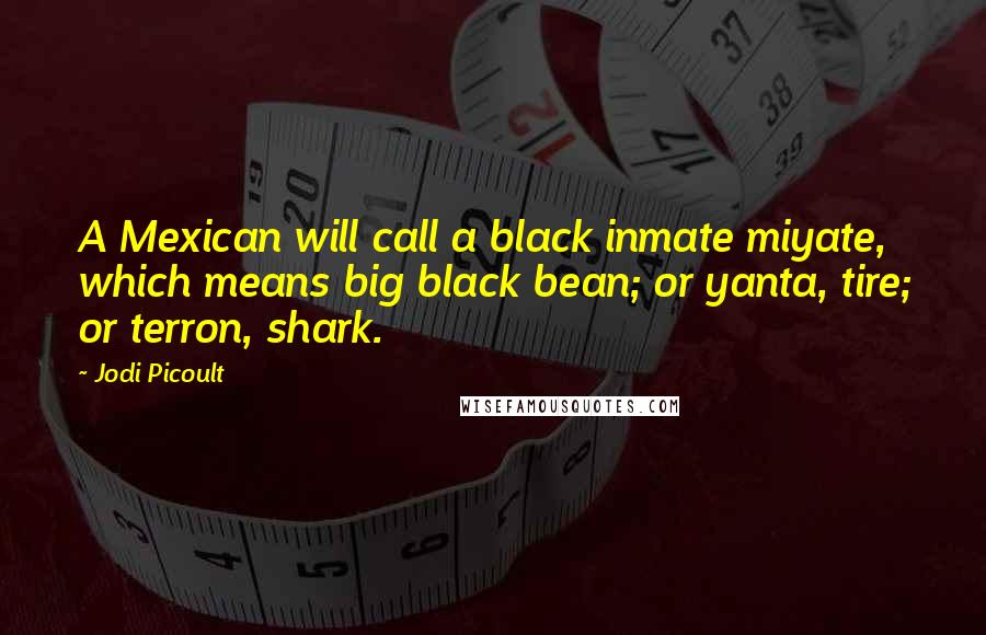 Jodi Picoult Quotes: A Mexican will call a black inmate miyate, which means big black bean; or yanta, tire; or terron, shark.
