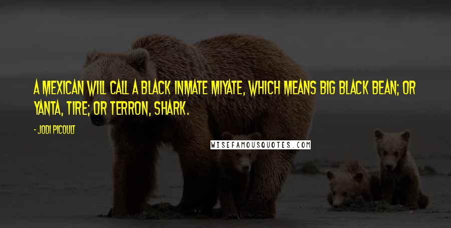 Jodi Picoult Quotes: A Mexican will call a black inmate miyate, which means big black bean; or yanta, tire; or terron, shark.