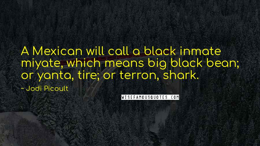 Jodi Picoult Quotes: A Mexican will call a black inmate miyate, which means big black bean; or yanta, tire; or terron, shark.