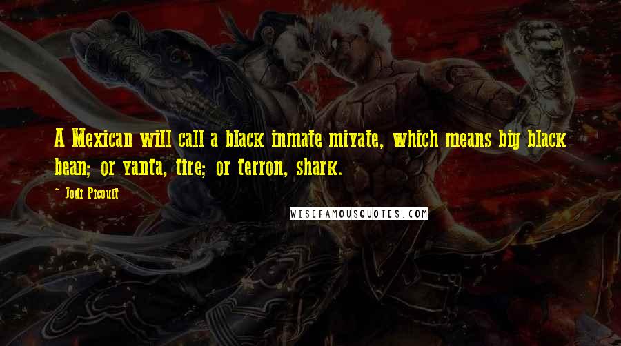 Jodi Picoult Quotes: A Mexican will call a black inmate miyate, which means big black bean; or yanta, tire; or terron, shark.