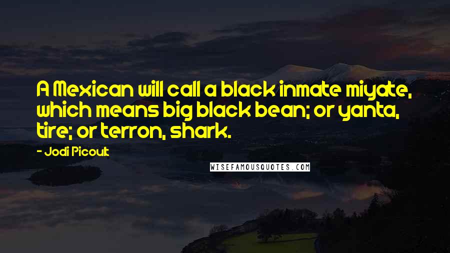 Jodi Picoult Quotes: A Mexican will call a black inmate miyate, which means big black bean; or yanta, tire; or terron, shark.