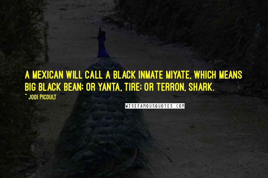 Jodi Picoult Quotes: A Mexican will call a black inmate miyate, which means big black bean; or yanta, tire; or terron, shark.