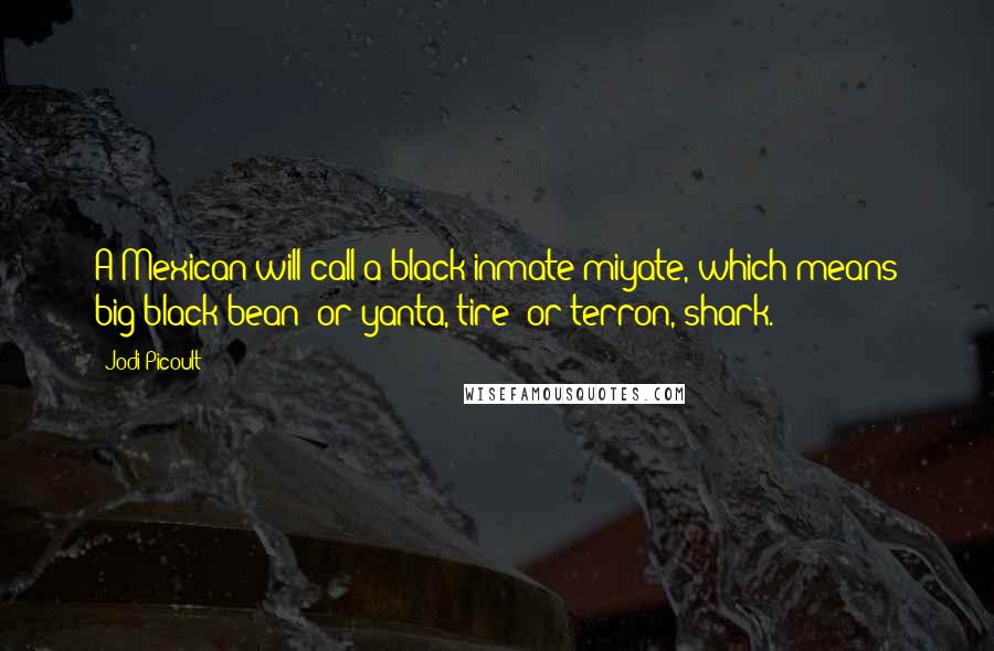 Jodi Picoult Quotes: A Mexican will call a black inmate miyate, which means big black bean; or yanta, tire; or terron, shark.