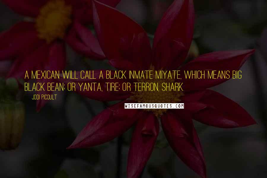 Jodi Picoult Quotes: A Mexican will call a black inmate miyate, which means big black bean; or yanta, tire; or terron, shark.