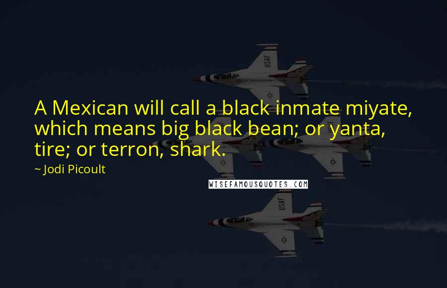 Jodi Picoult Quotes: A Mexican will call a black inmate miyate, which means big black bean; or yanta, tire; or terron, shark.