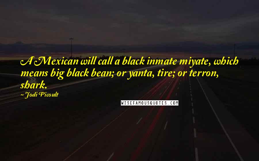 Jodi Picoult Quotes: A Mexican will call a black inmate miyate, which means big black bean; or yanta, tire; or terron, shark.