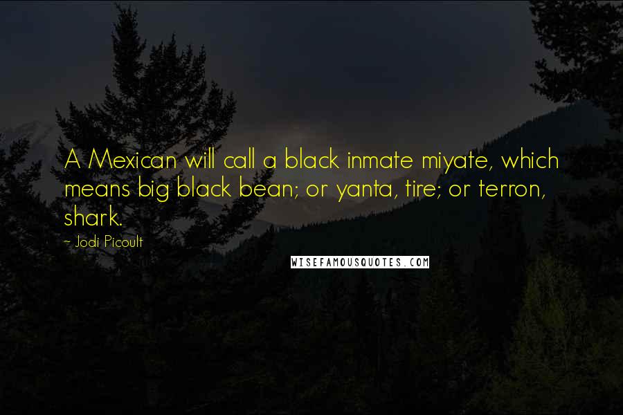 Jodi Picoult Quotes: A Mexican will call a black inmate miyate, which means big black bean; or yanta, tire; or terron, shark.