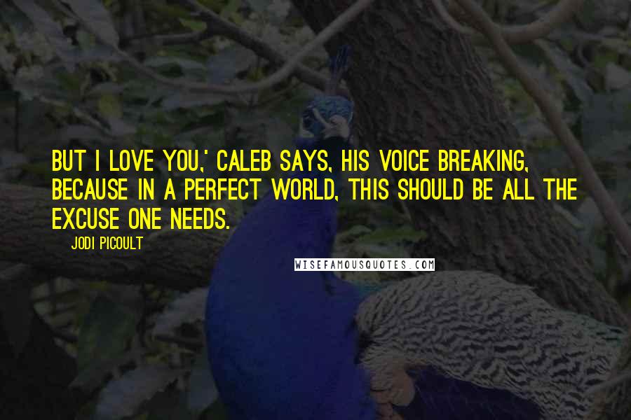 Jodi Picoult Quotes: But I love you,' Caleb says, his voice breaking, because in a perfect world, this should be all the excuse one needs.