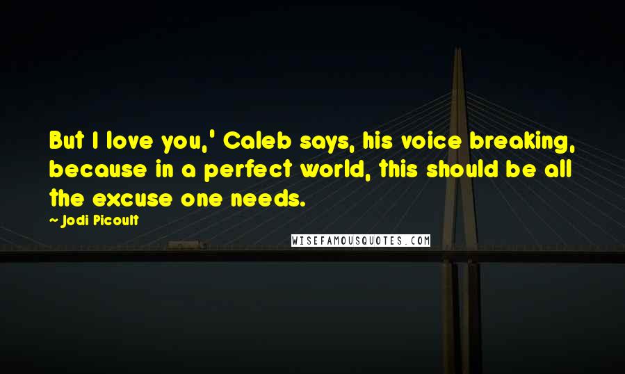 Jodi Picoult Quotes: But I love you,' Caleb says, his voice breaking, because in a perfect world, this should be all the excuse one needs.