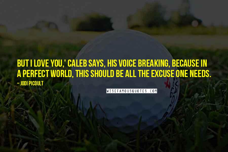 Jodi Picoult Quotes: But I love you,' Caleb says, his voice breaking, because in a perfect world, this should be all the excuse one needs.