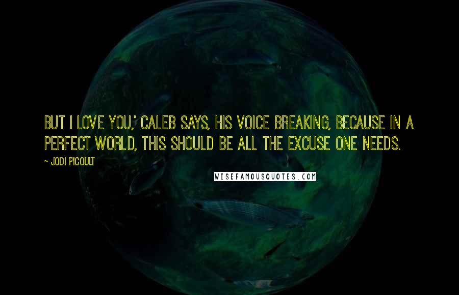 Jodi Picoult Quotes: But I love you,' Caleb says, his voice breaking, because in a perfect world, this should be all the excuse one needs.