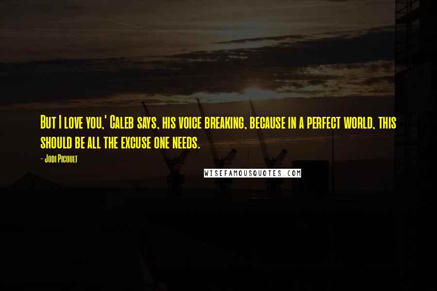 Jodi Picoult Quotes: But I love you,' Caleb says, his voice breaking, because in a perfect world, this should be all the excuse one needs.