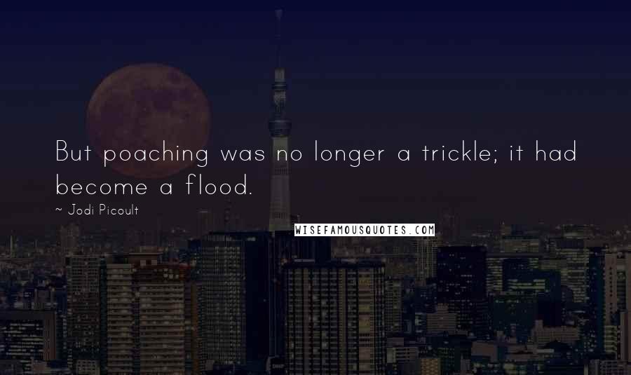 Jodi Picoult Quotes: But poaching was no longer a trickle; it had become a flood.