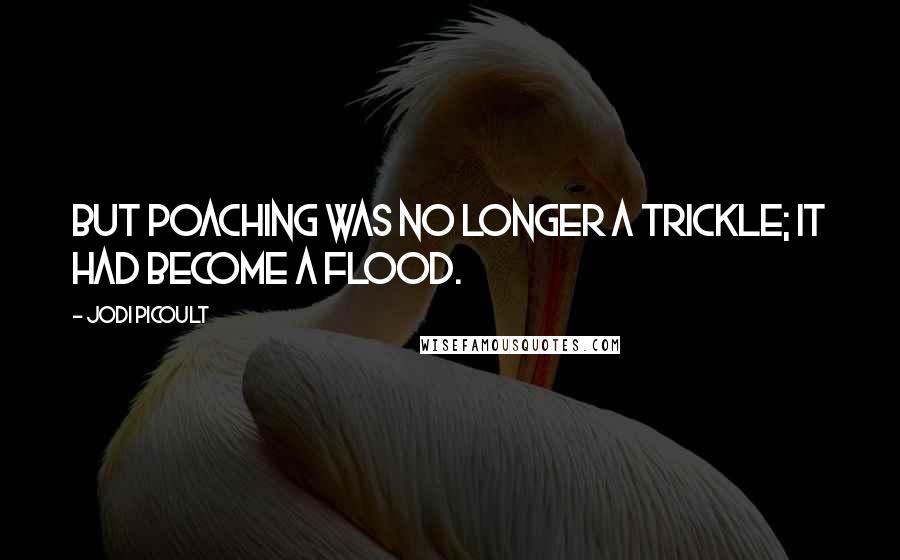 Jodi Picoult Quotes: But poaching was no longer a trickle; it had become a flood.