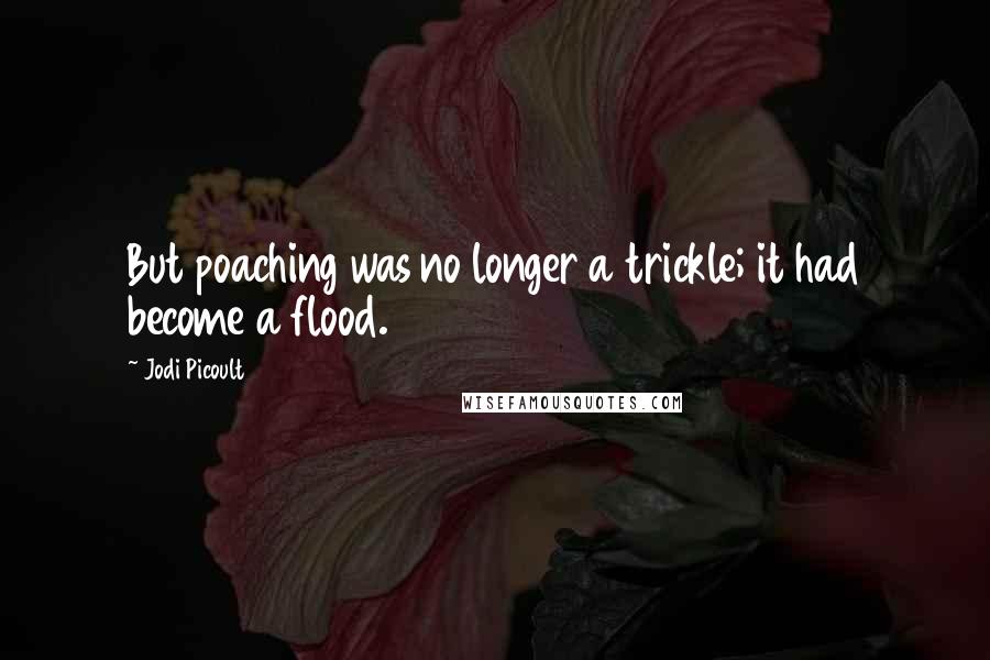 Jodi Picoult Quotes: But poaching was no longer a trickle; it had become a flood.