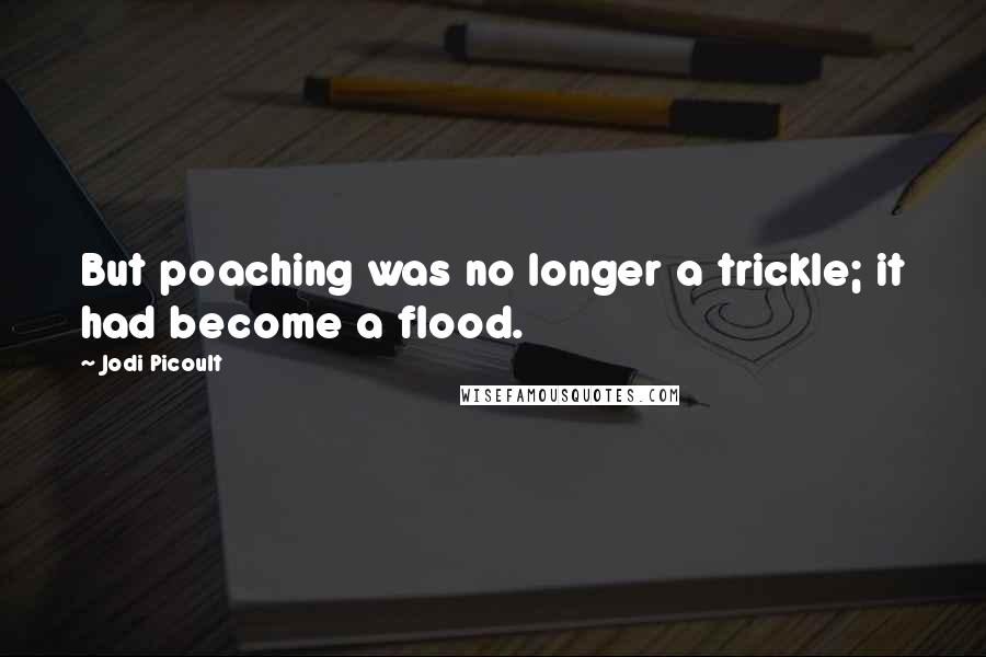 Jodi Picoult Quotes: But poaching was no longer a trickle; it had become a flood.