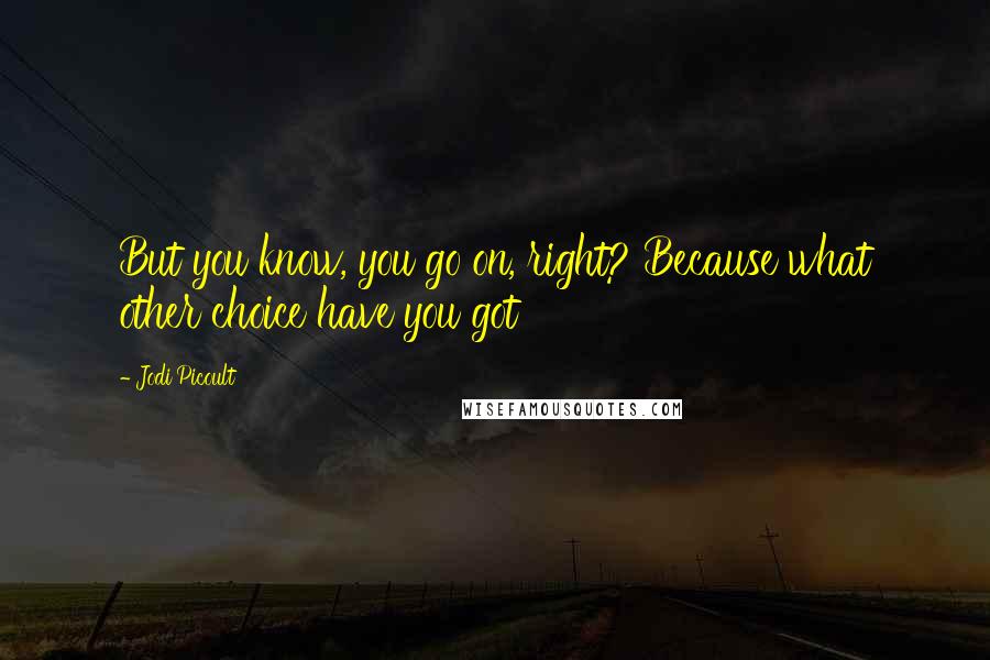 Jodi Picoult Quotes: But you know, you go on, right? Because what other choice have you got